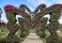 Butterfly Garden