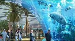 Meal Voucher Sea World